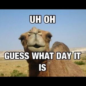 Meet your Posher, Jack